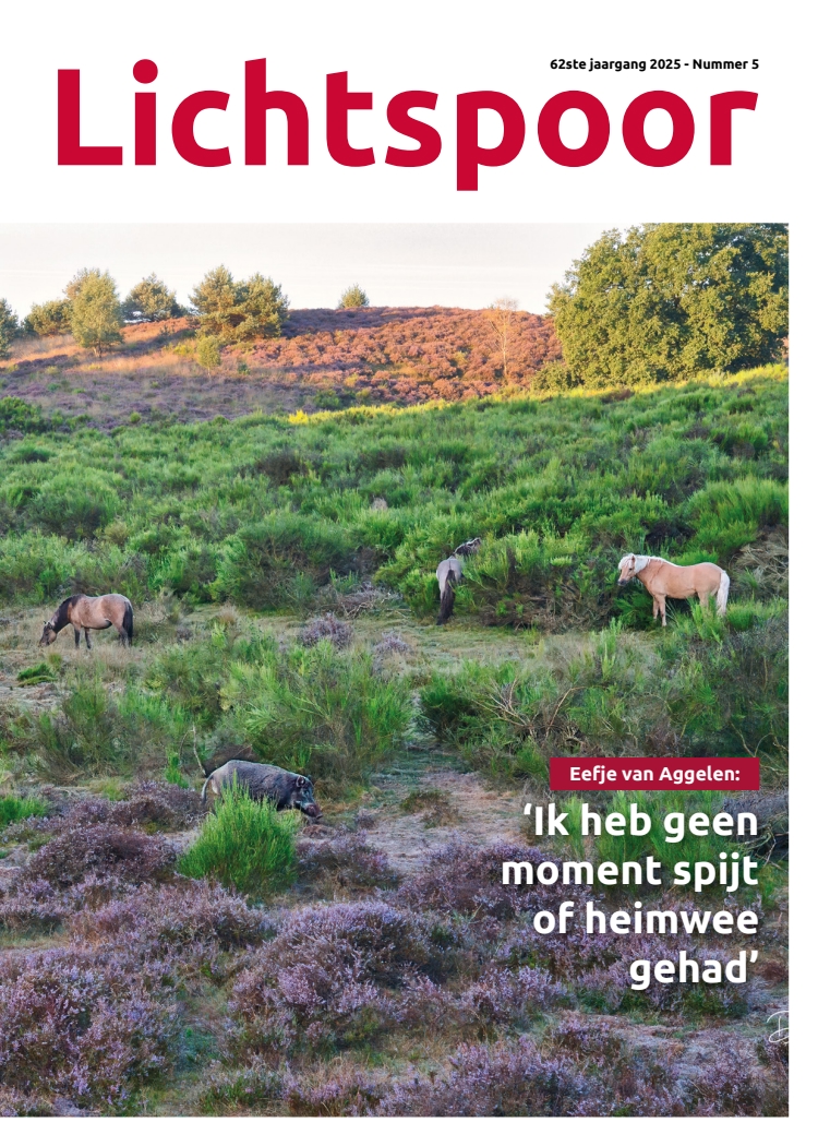 Cover afbeelding