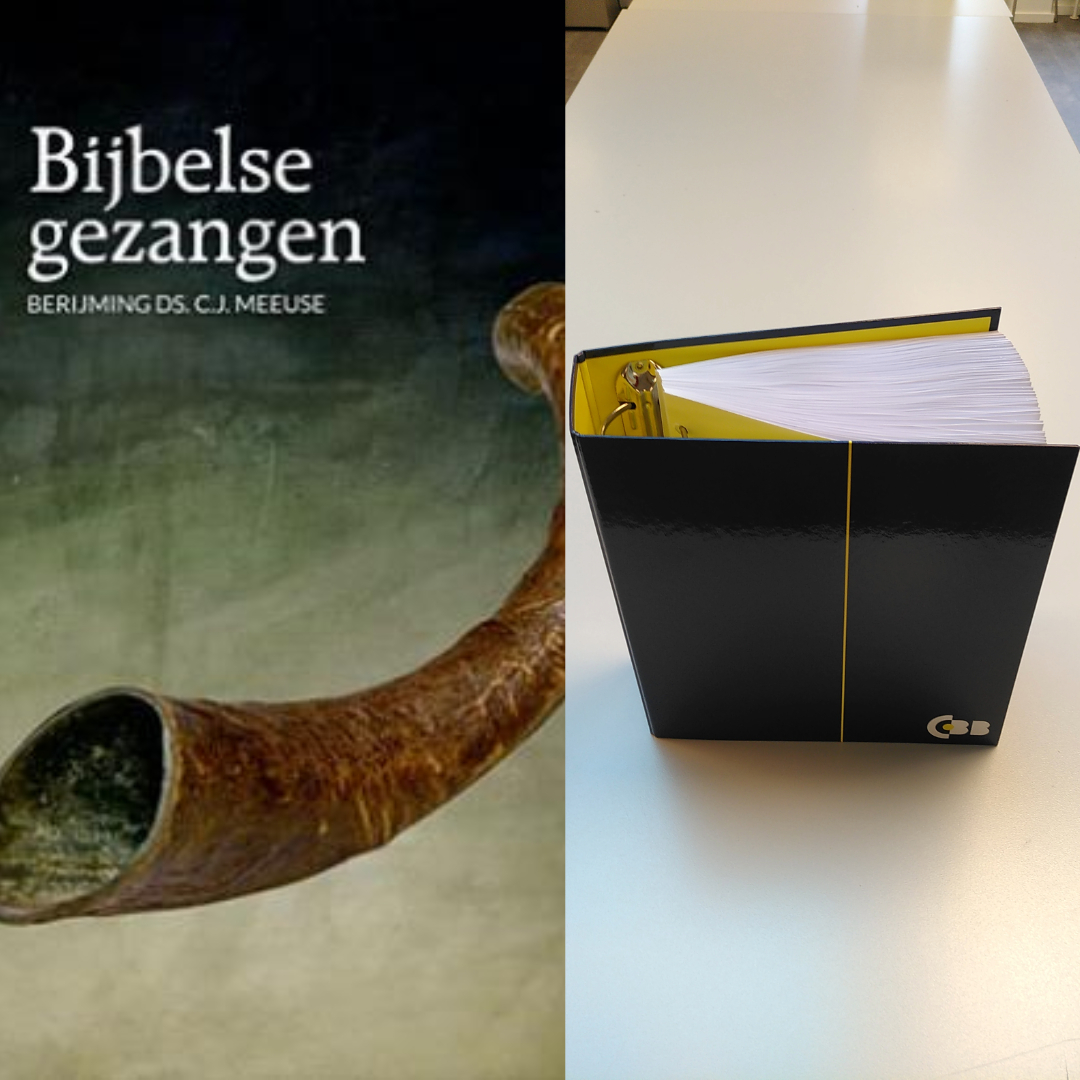 Cover Bijbelse gezangen