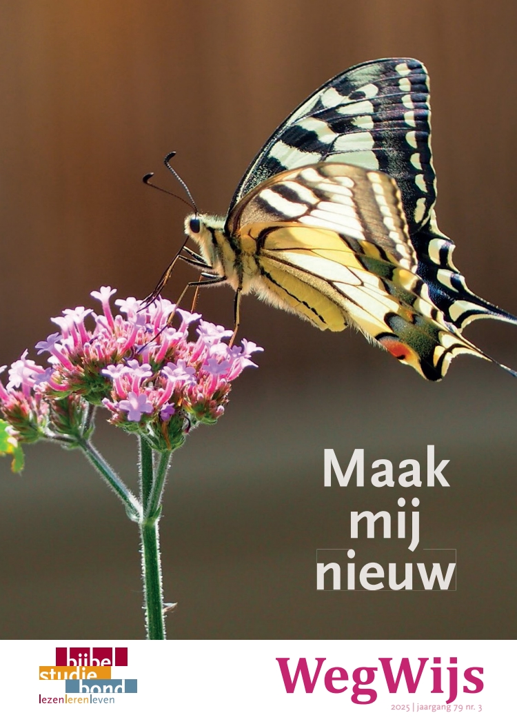 Cover afbeelding