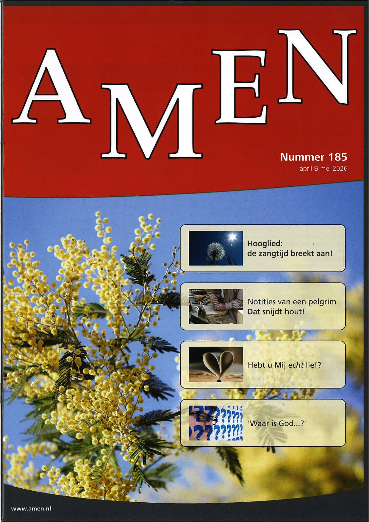Cover afbeelding