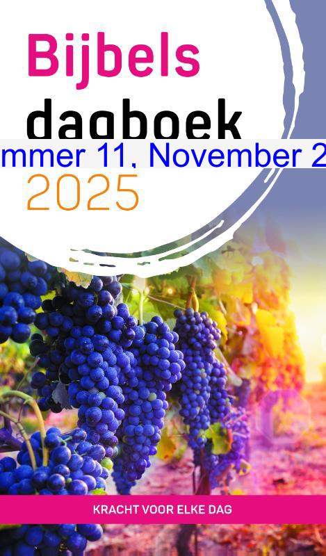 Cover dagboek Kracht voor elke dag