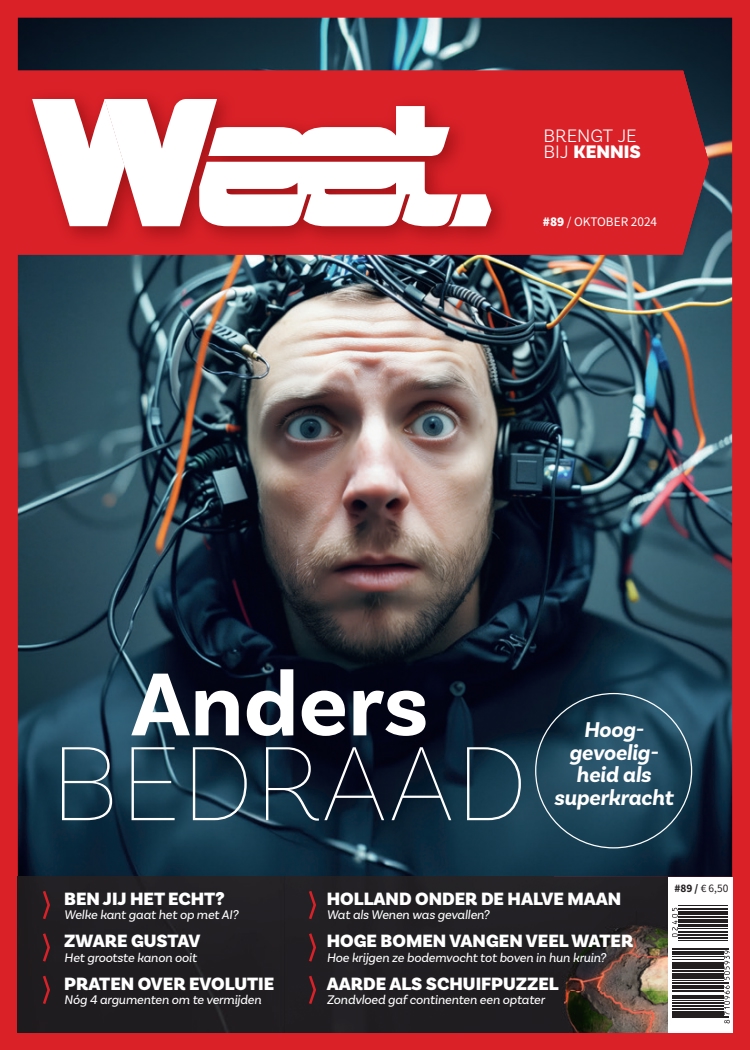 Cover afbeelding