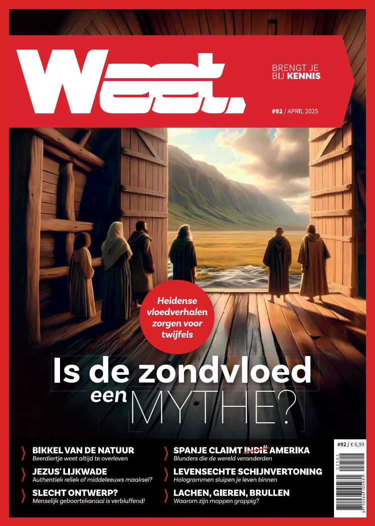 Cover afbeelding