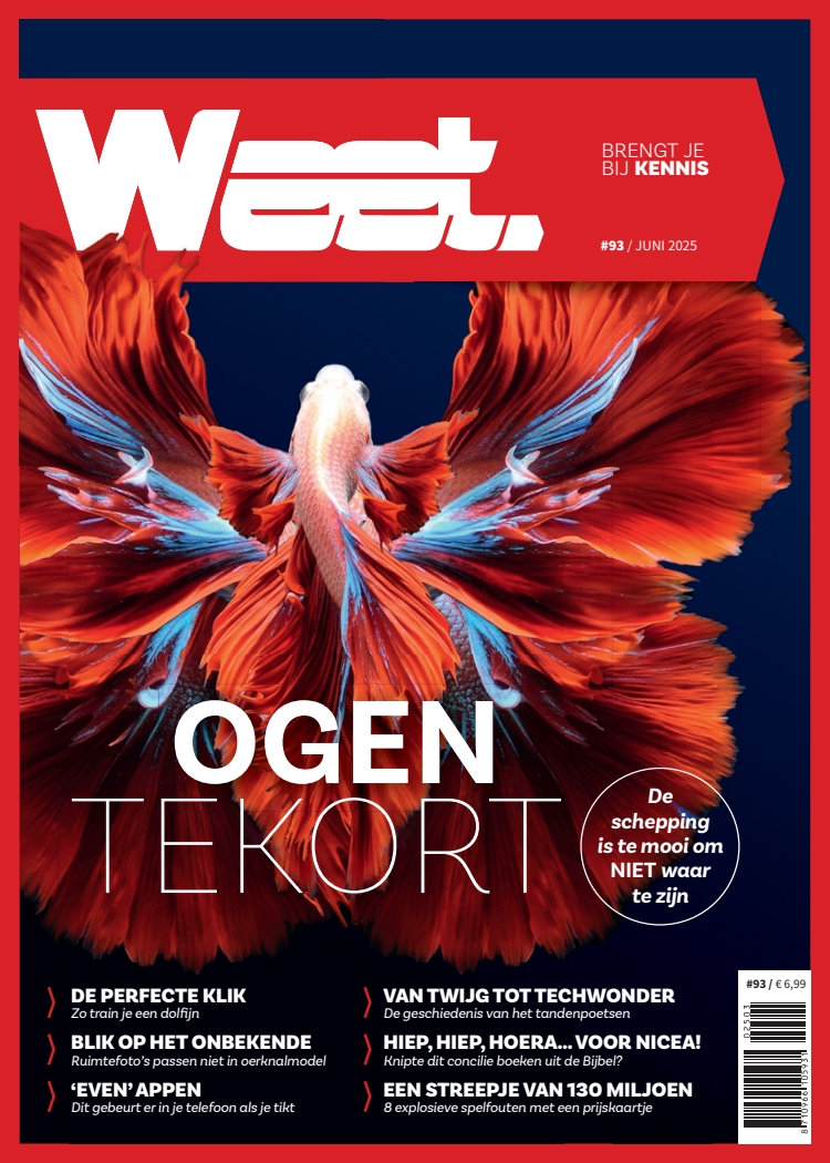 Cover afbeelding
