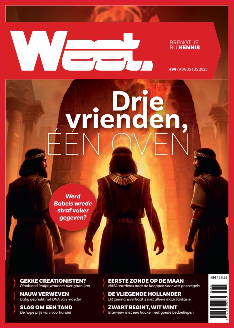 Cover afbeelding
