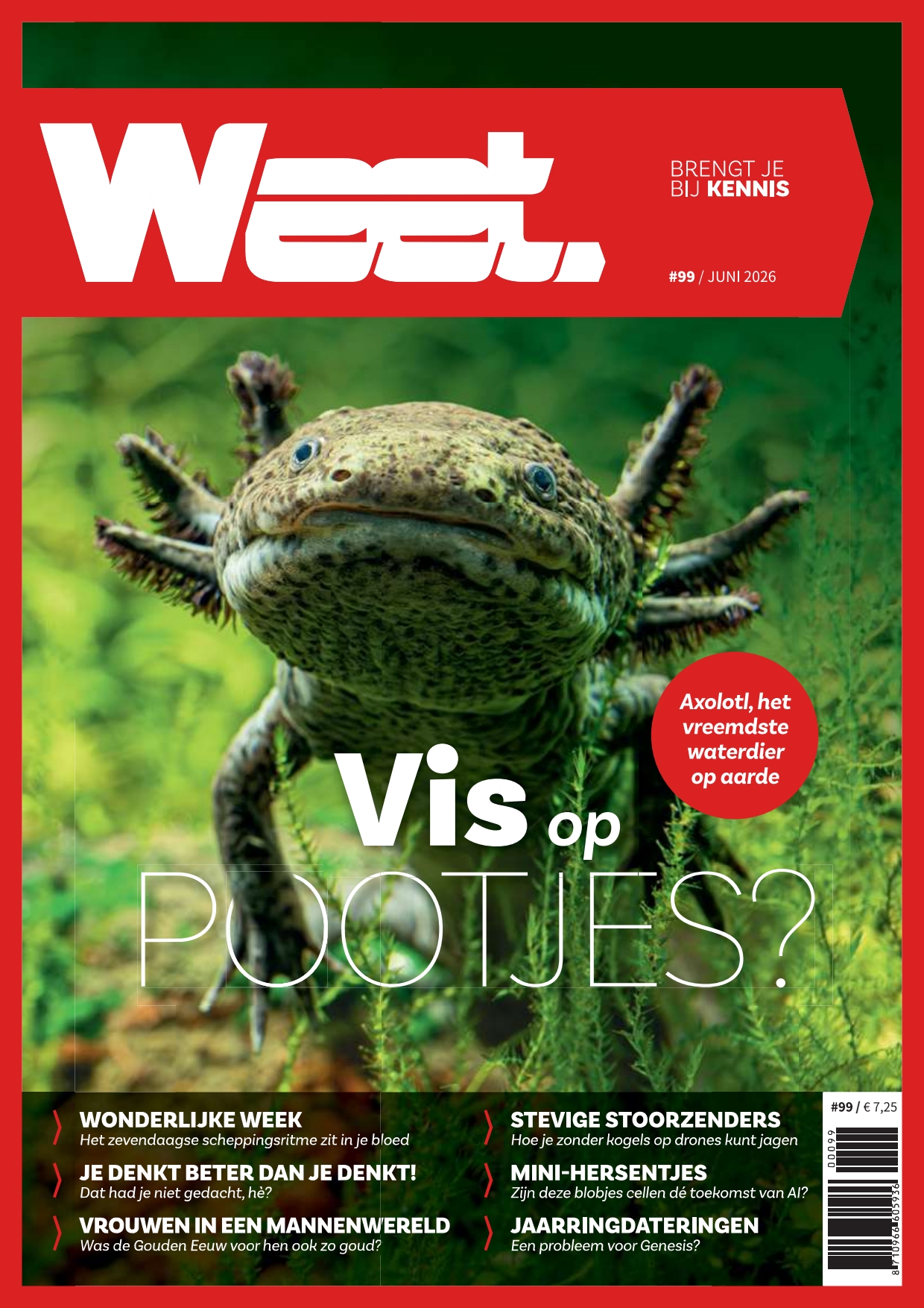 Cover afbeelding