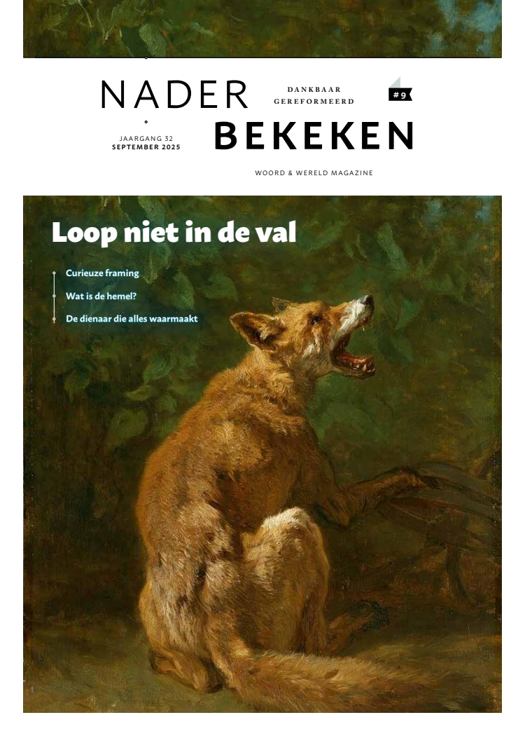 Cover afbeelding