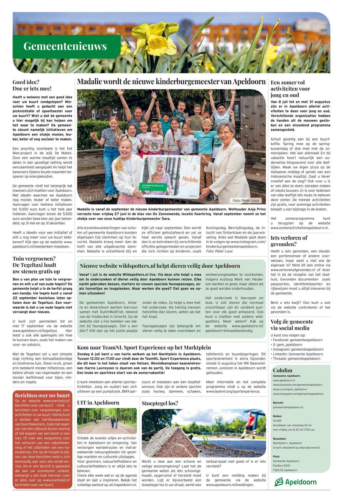 Cover afbeelding