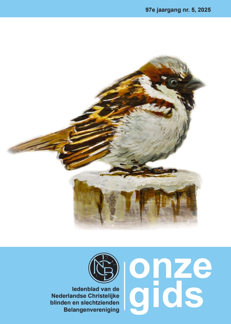 Cover afbeelding