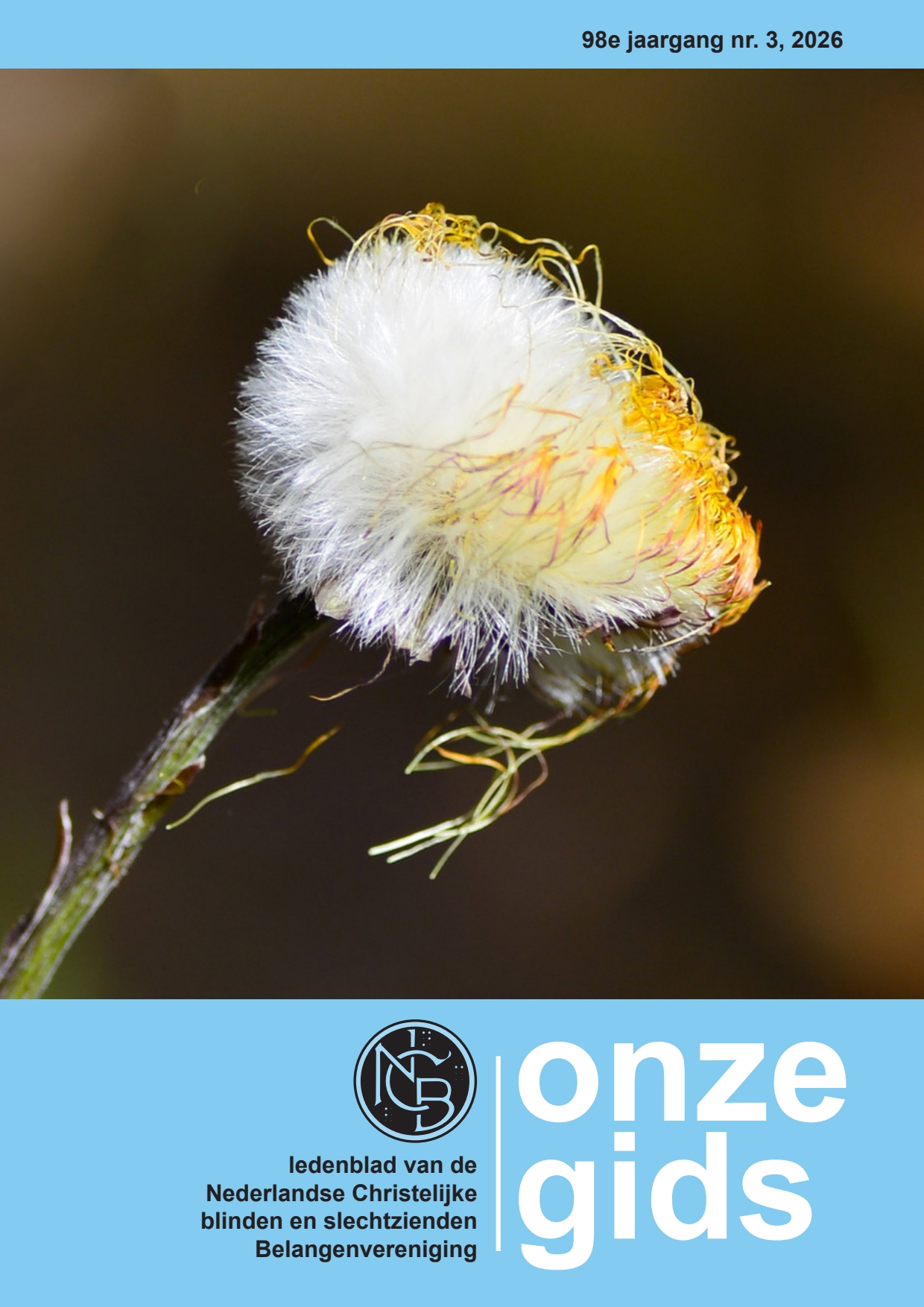 Cover afbeelding
