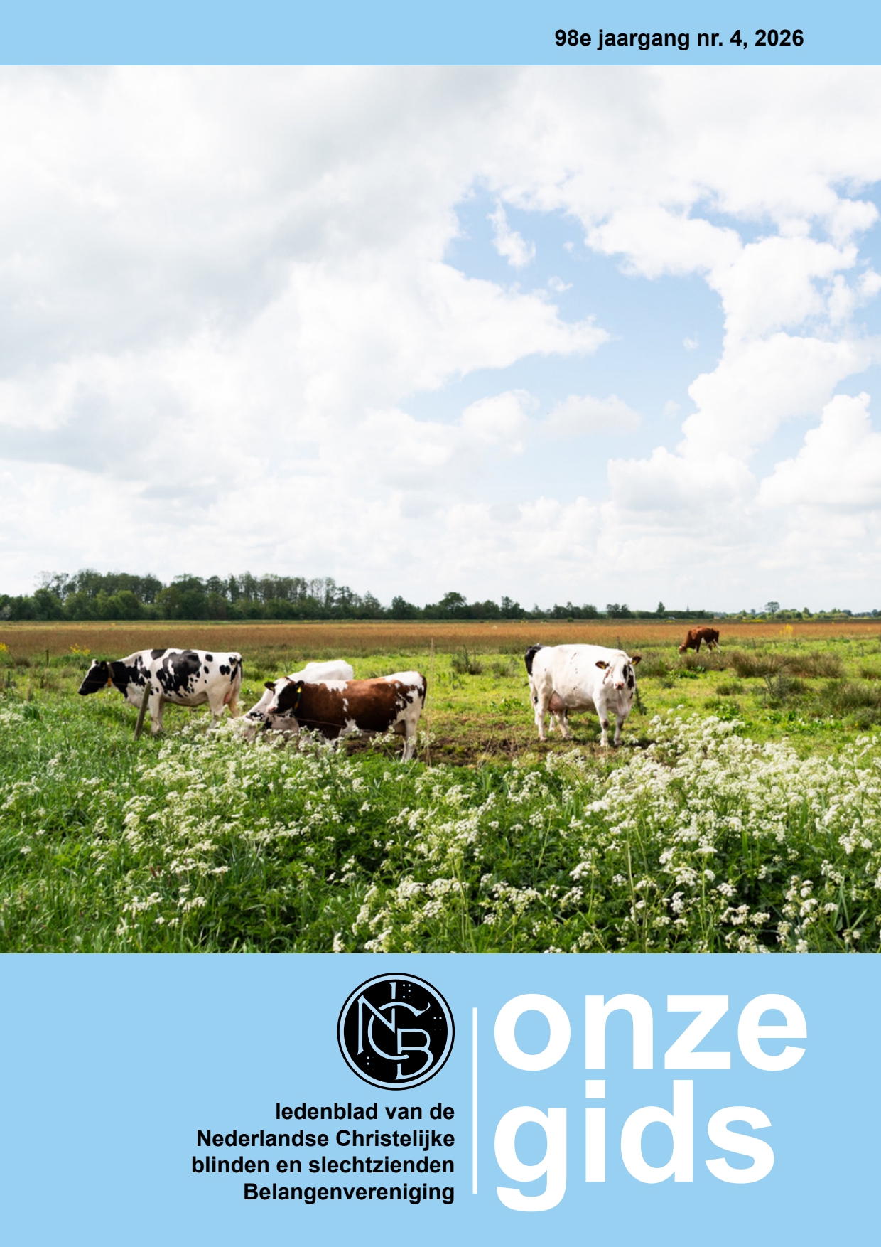 Cover afbeelding