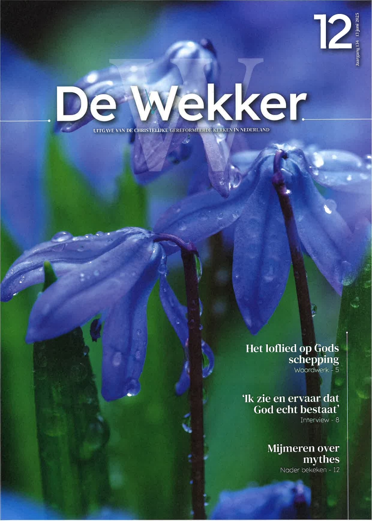 Cover afbeelding