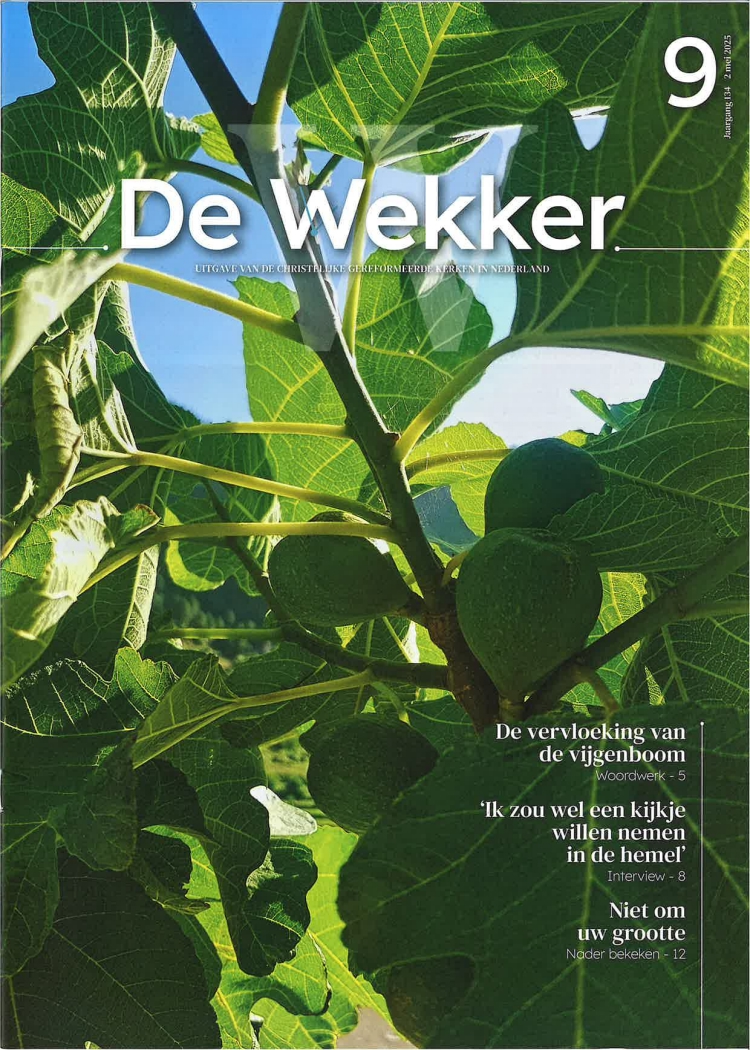 Cover afbeelding