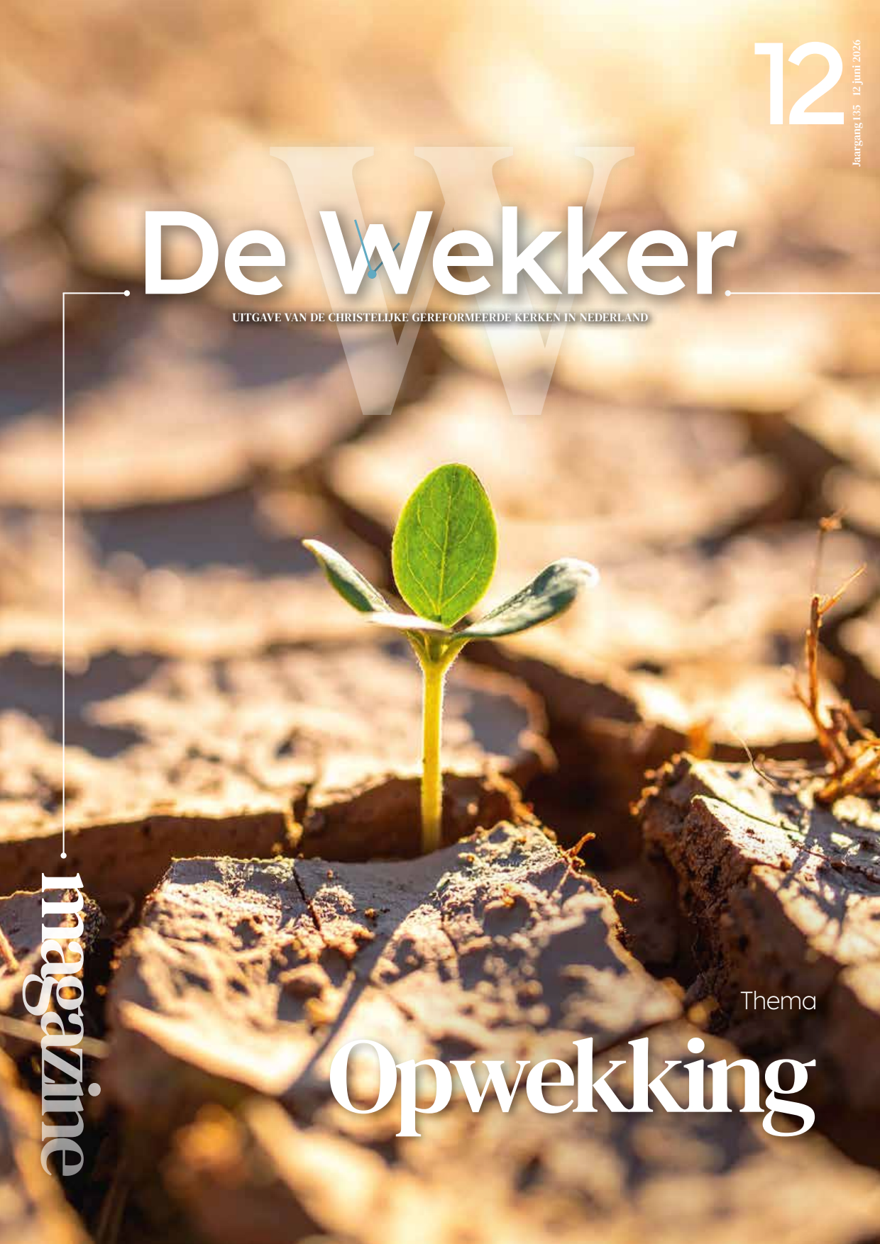 Cover afbeelding