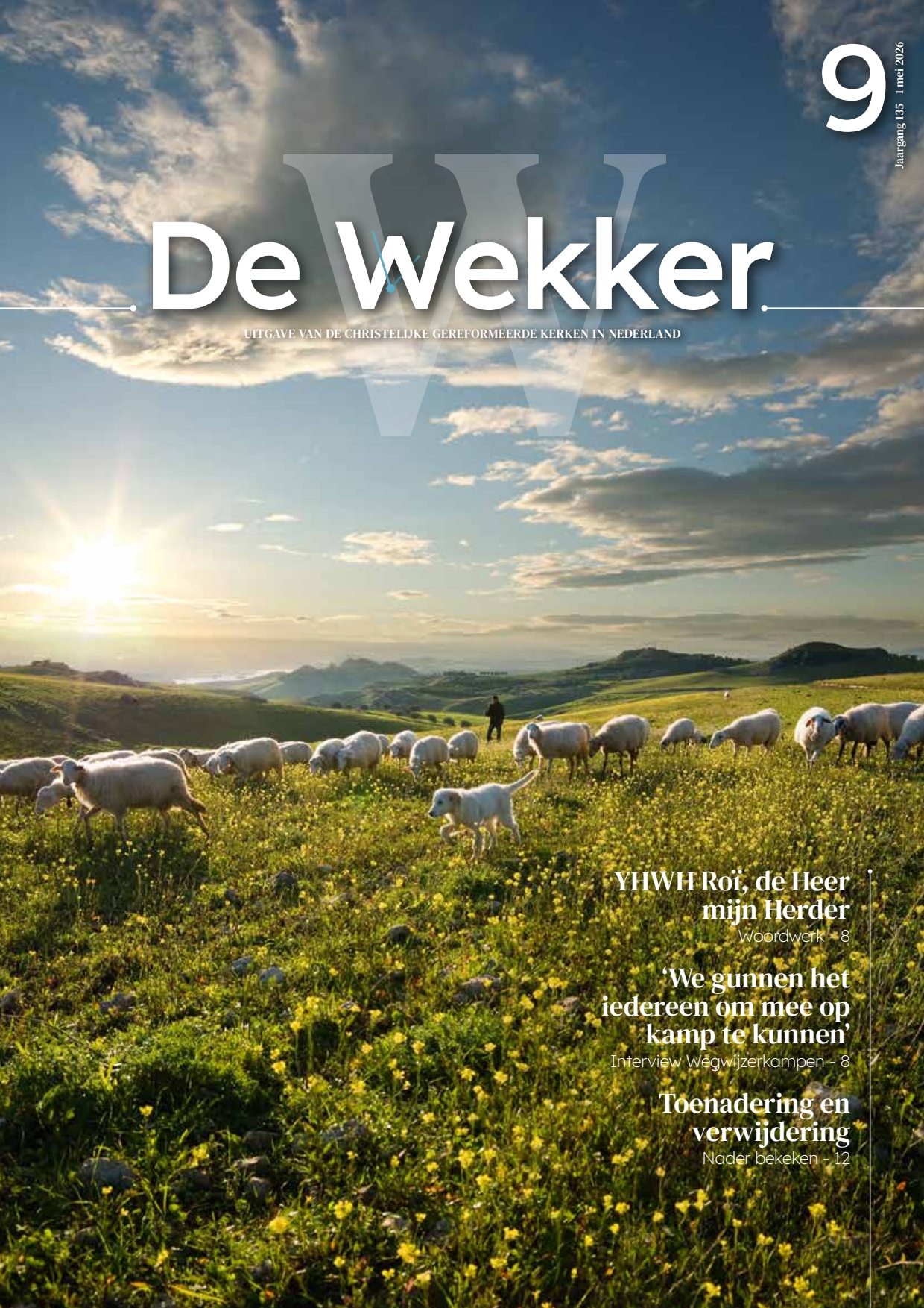 Cover afbeelding