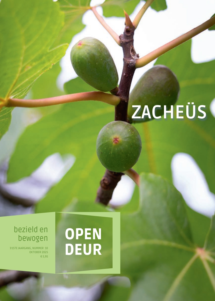 Cover afbeelding