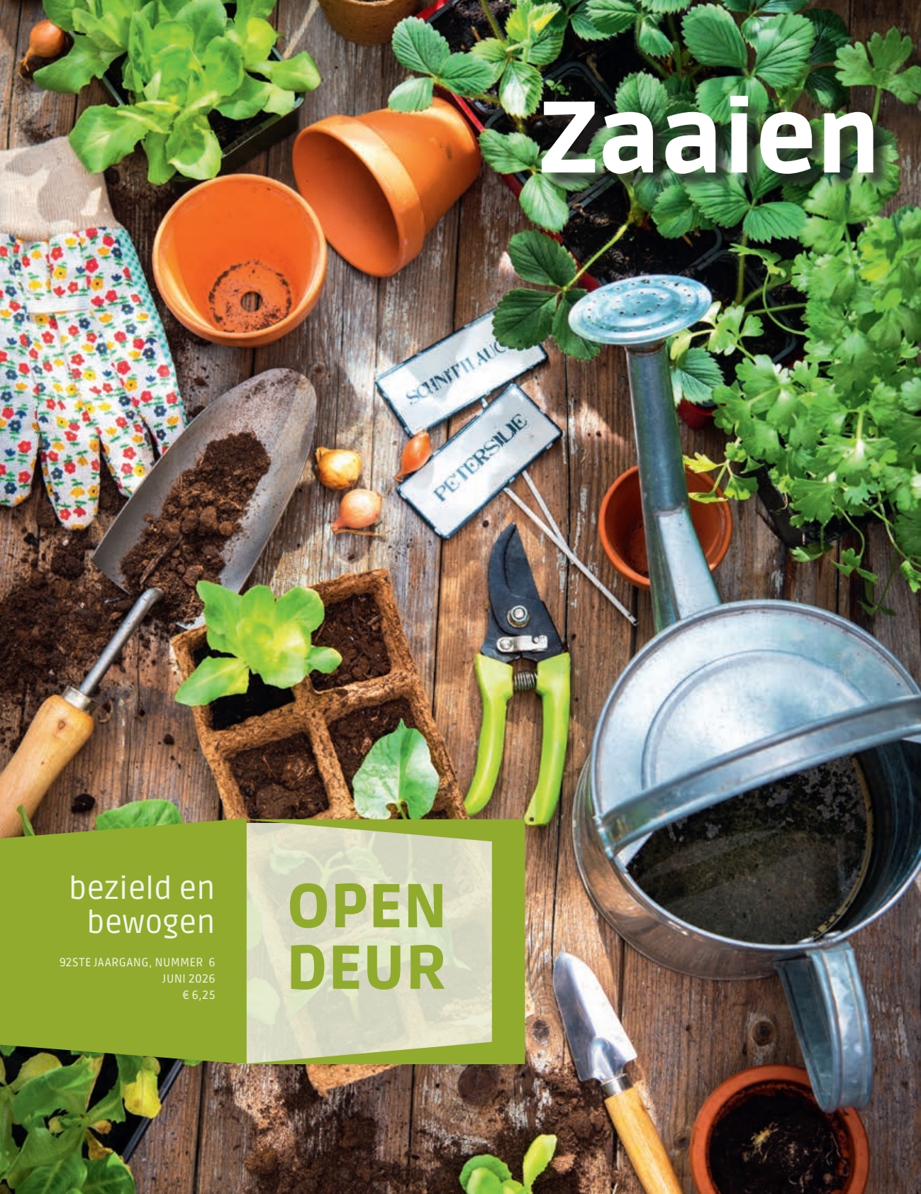 Cover afbeelding