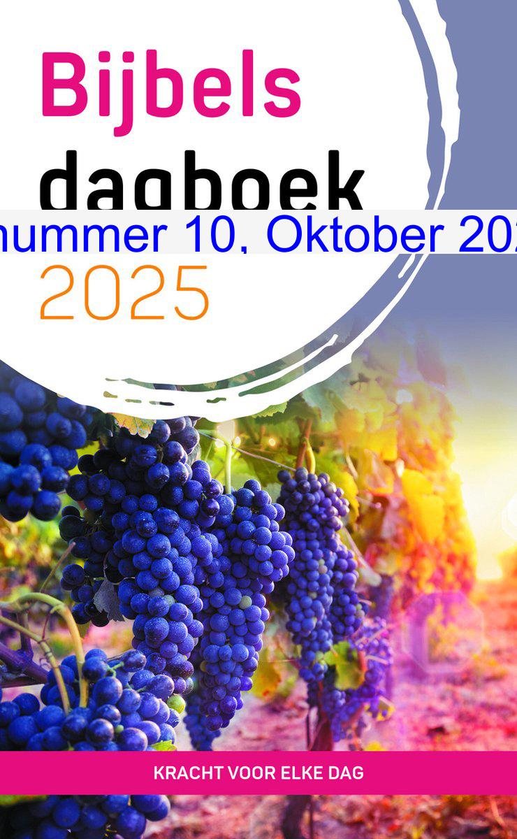 Cover: Kracht voor elke dag 2025