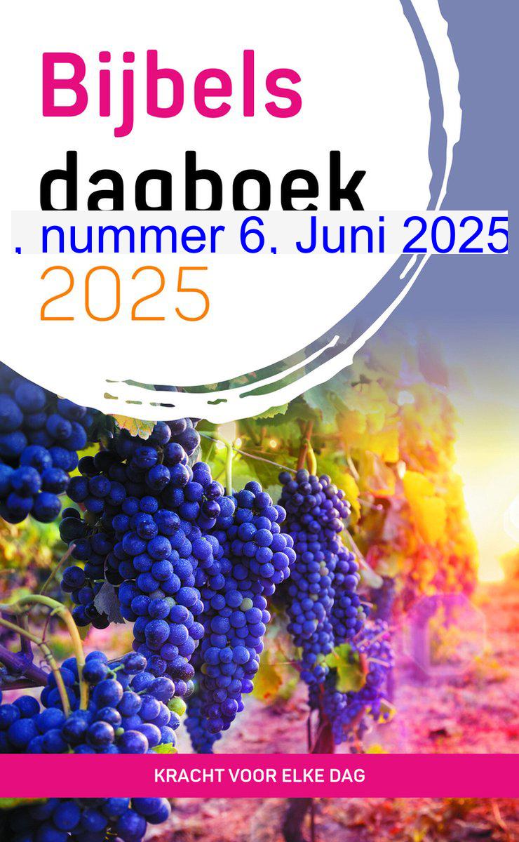 Cover: Kracht voor elke dag 2025